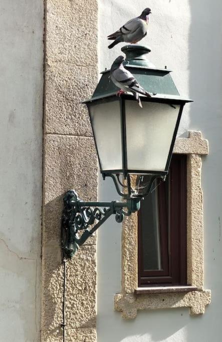 Loft In The Historic Center Of Oporto Downtown Apartment ภายนอก รูปภาพ